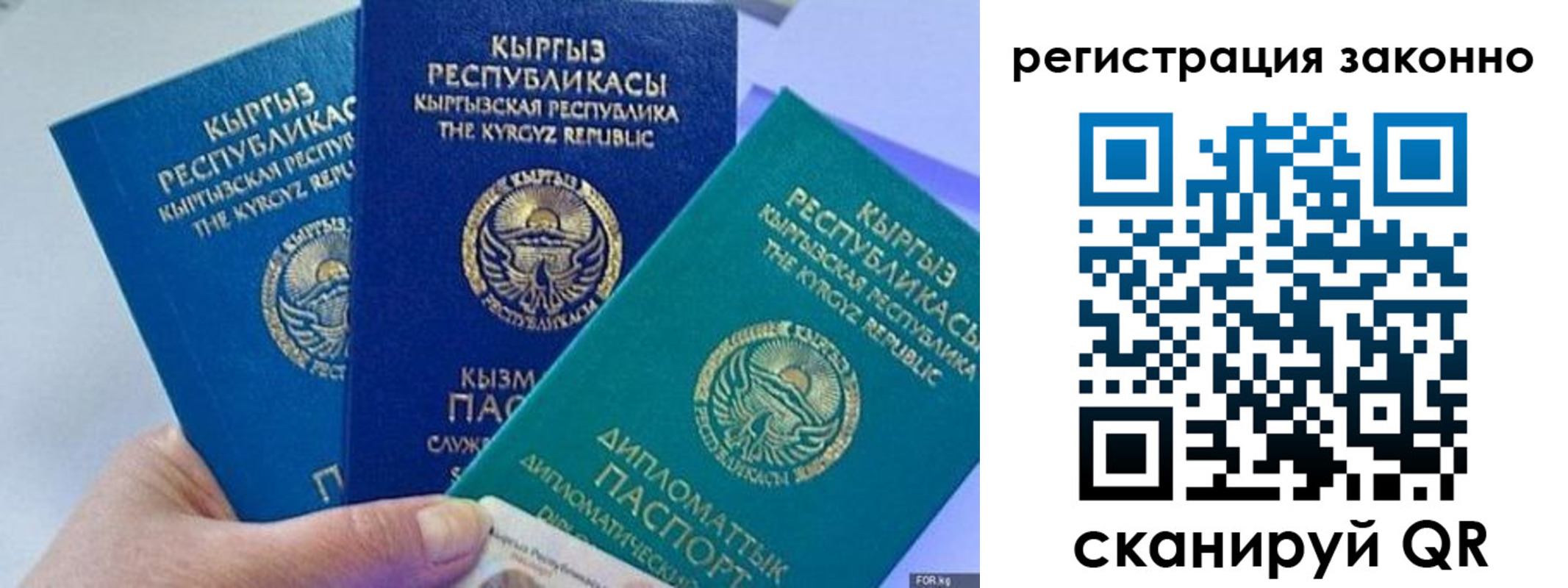 временная регистрация гарантия в Коле